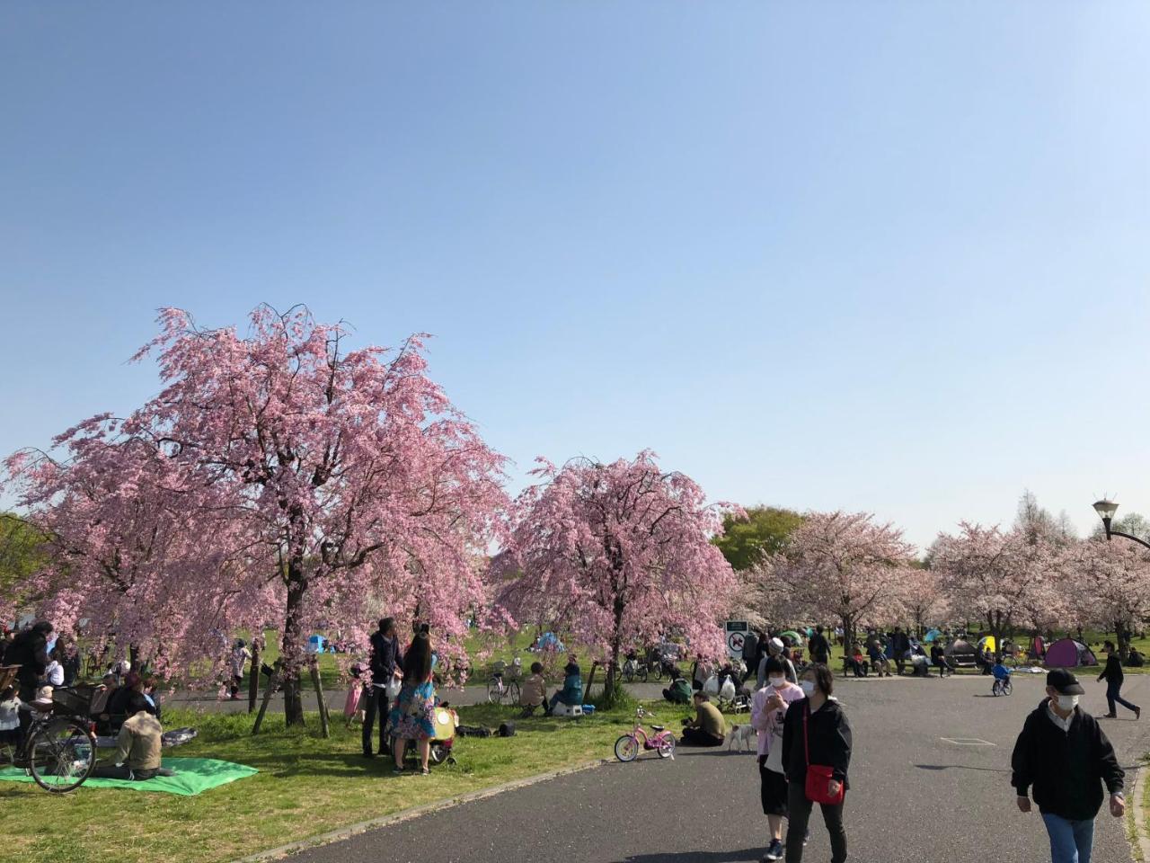 Tokyo Toneri Garden House-Stay エクステリア 写真