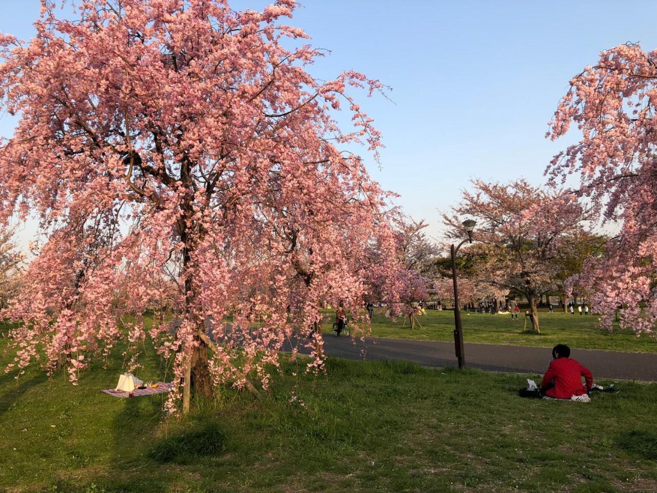 Tokyo Toneri Garden House-Stay エクステリア 写真